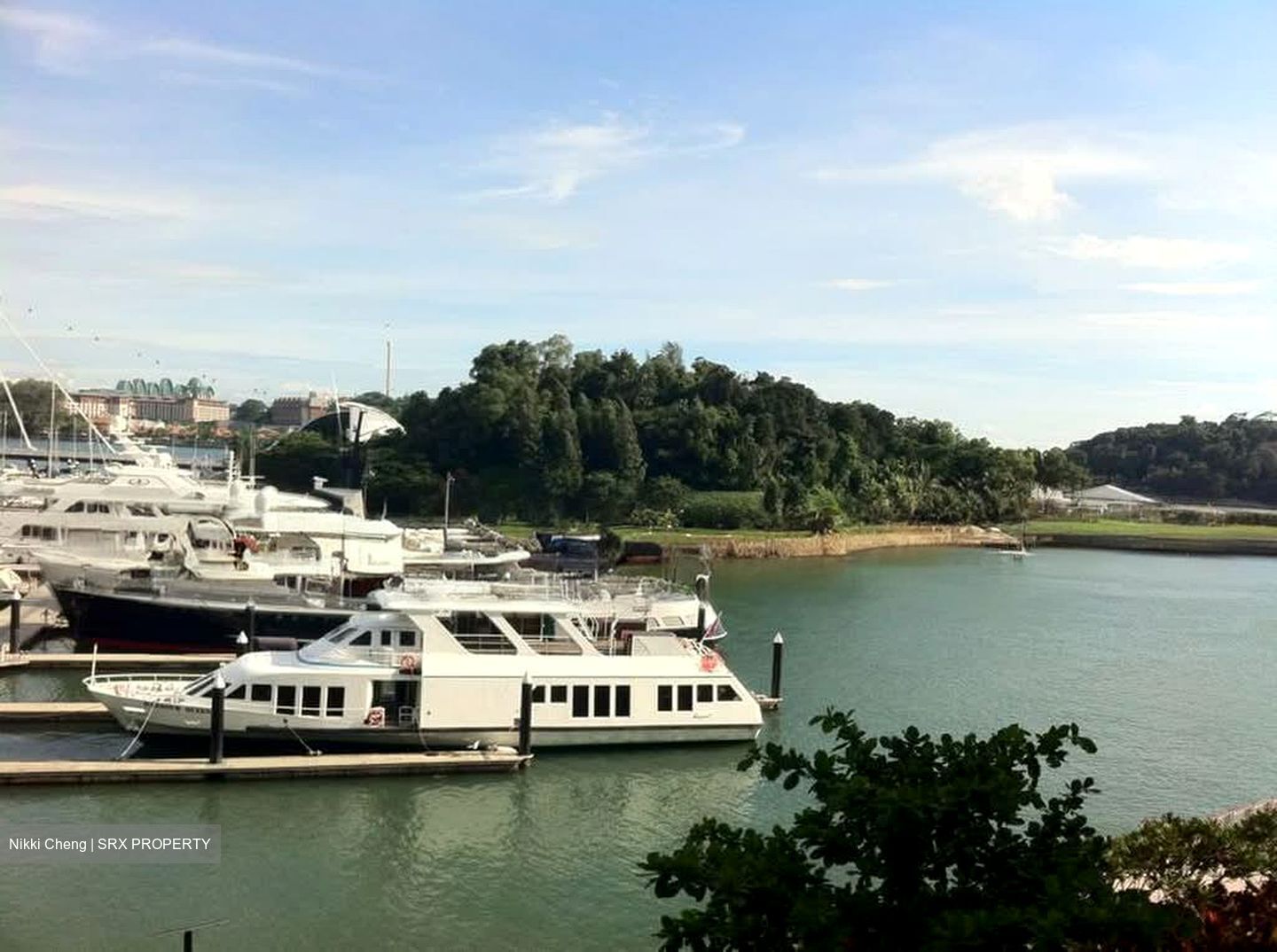 Reflections At Keppel Bay (D4), Condominium #593289061